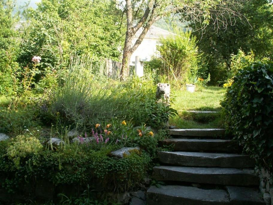 Magnifique Maison De Maitre Du 18E Avec Jardin Luz-Saint-Sauveur Eksteriør billede