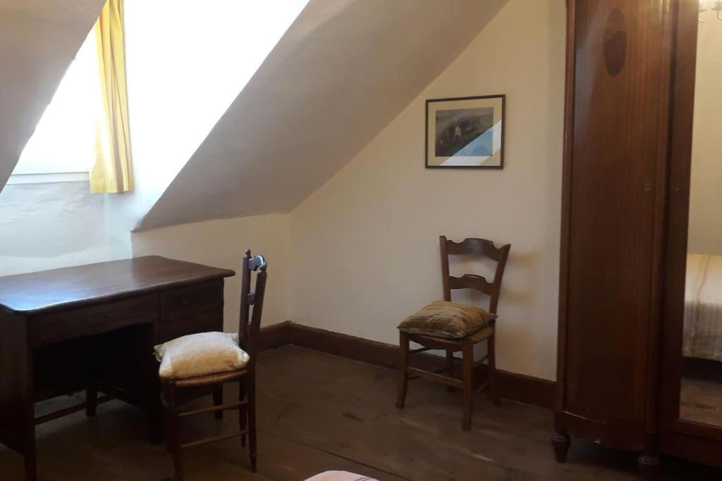 Magnifique Maison De Maitre Du 18E Avec Jardin Luz-Saint-Sauveur Eksteriør billede
