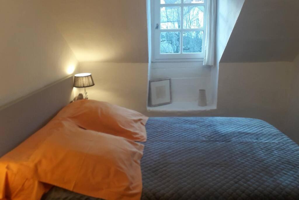 Magnifique Maison De Maitre Du 18E Avec Jardin Luz-Saint-Sauveur Eksteriør billede