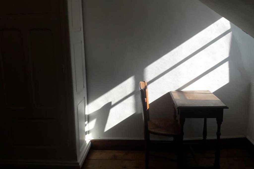 Magnifique Maison De Maitre Du 18E Avec Jardin Luz-Saint-Sauveur Eksteriør billede