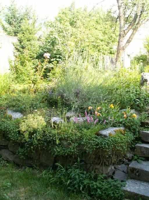 Magnifique Maison De Maitre Du 18E Avec Jardin Luz-Saint-Sauveur Eksteriør billede