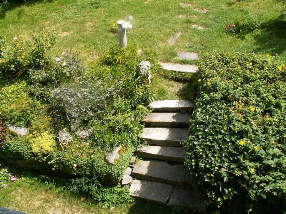 Magnifique Maison De Maitre Du 18E Avec Jardin Luz-Saint-Sauveur Eksteriør billede