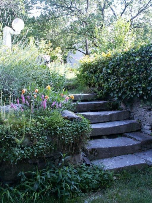 Magnifique Maison De Maitre Du 18E Avec Jardin Luz-Saint-Sauveur Eksteriør billede