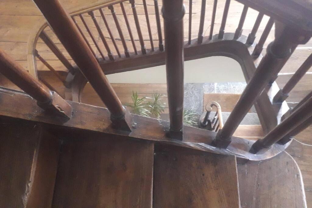 Magnifique Maison De Maitre Du 18E Avec Jardin Luz-Saint-Sauveur Eksteriør billede